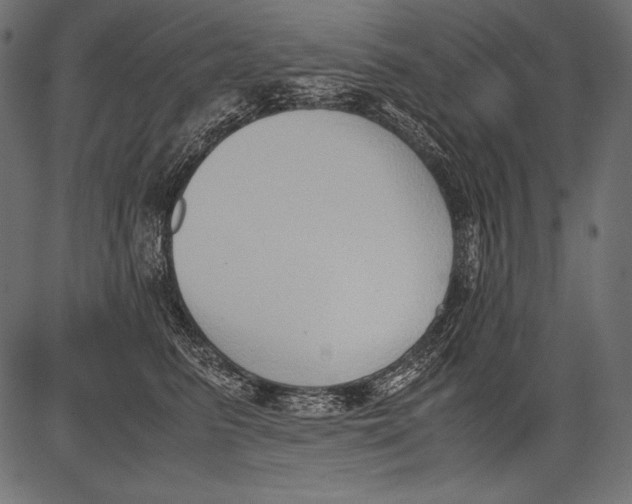 X0000081370615200702020207