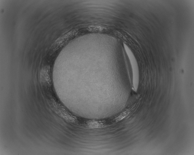 X0000081370616200702020207