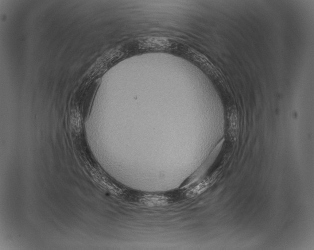 X0000081370617200702020207