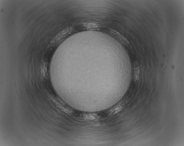 X0000081370618200702020207