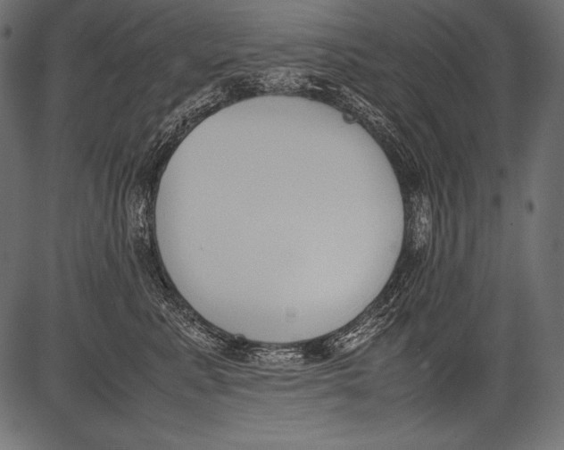 X0000081370619200702020207