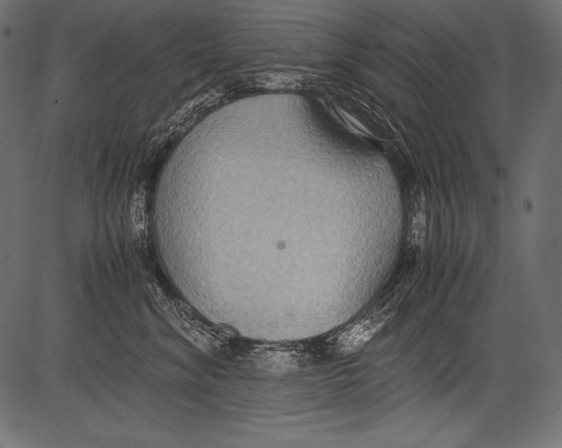 X0000081370620200702020207