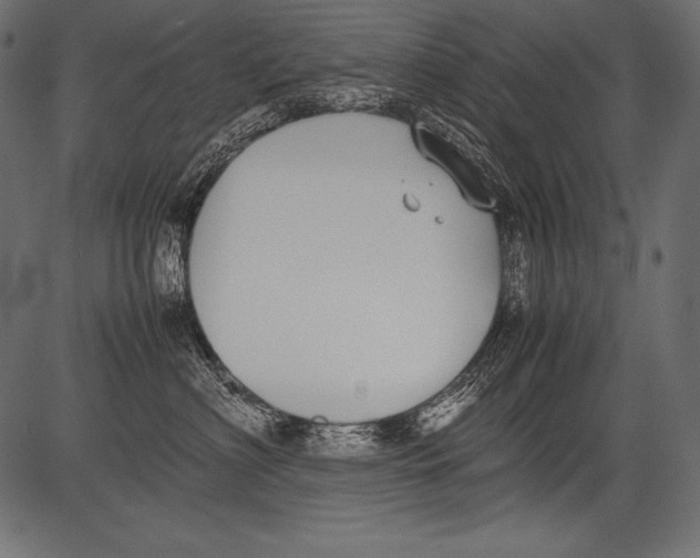 X0000081370622200702020207