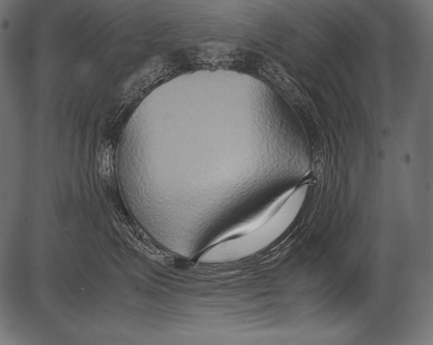 X0000081370623200702020207