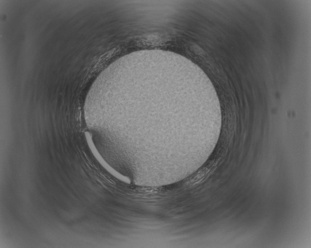 X0000081370624200702020207