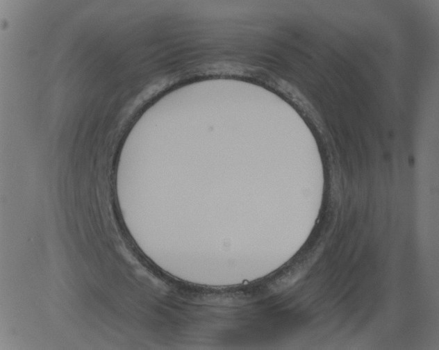 X0000081370625200702020206