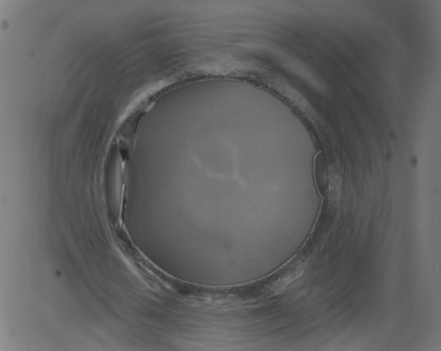 X0000081370626200702020206