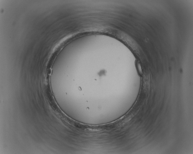 X0000081370628200702020206