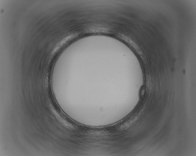 X0000081370629200702020206