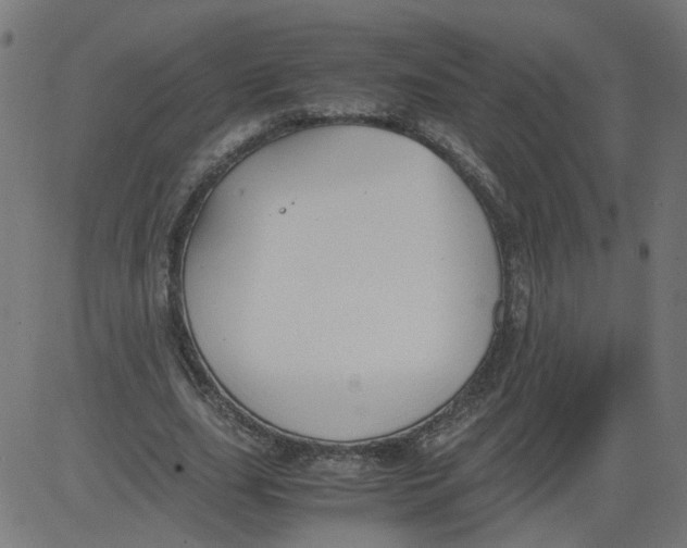 X0000081370631200702020206