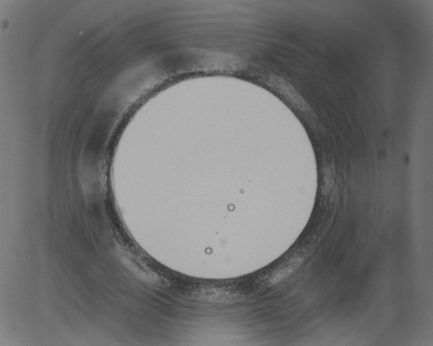 X0000081370632200702020206