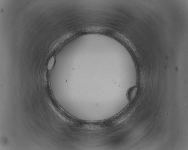 X0000081370633200702020206