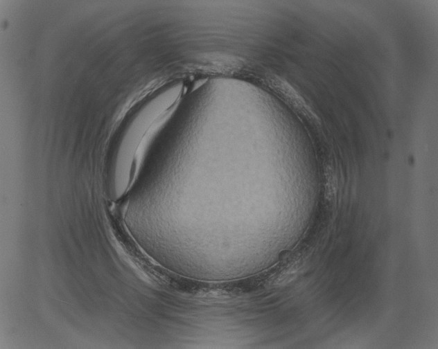 X0000081370634200702020206