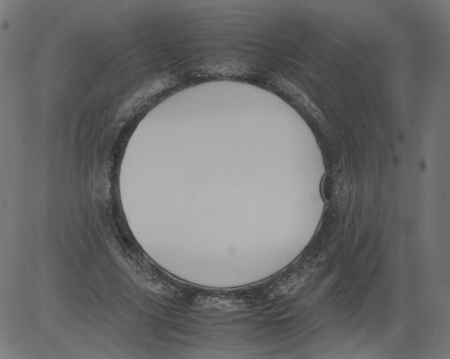 X0000081370635200702020206