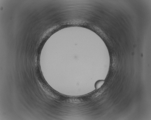 X0000081370636200702020206