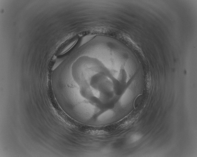 X0000081370637200702020206