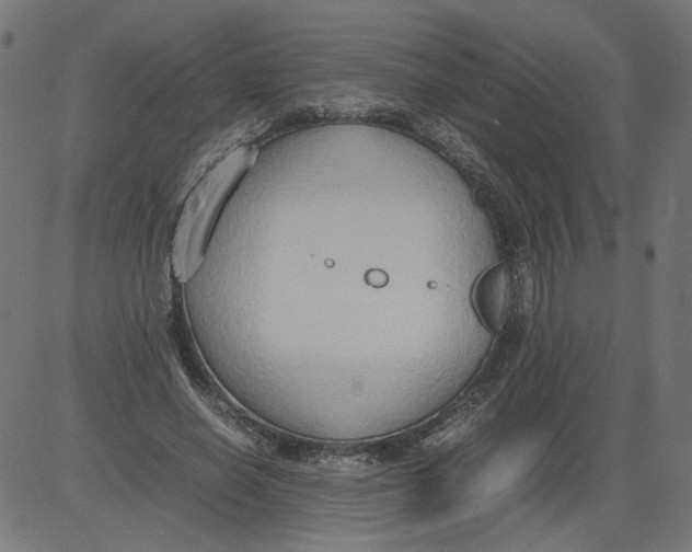 X0000081370638200702020206