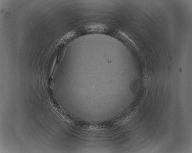 X0000081370641200702020206