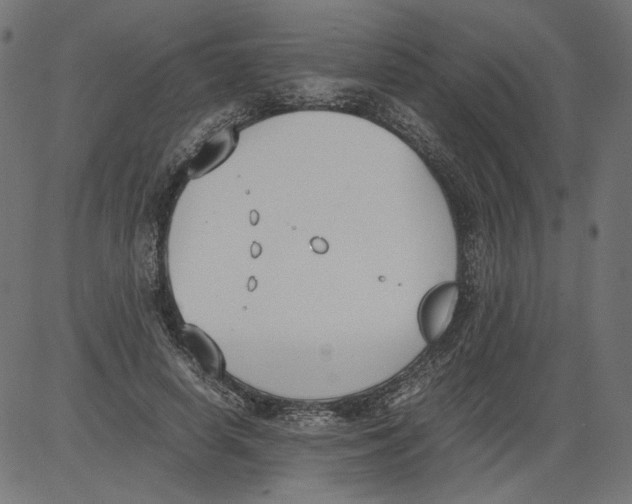 X0000081370642200702020206