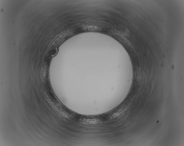 X0000081370645200702020206