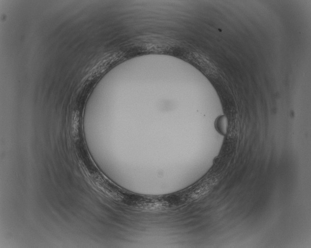 X0000081370646200702020206