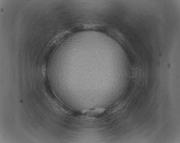 X0000081370648200702020206