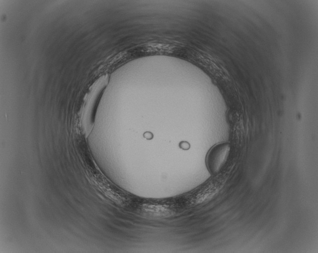 X0000081370649200702020206