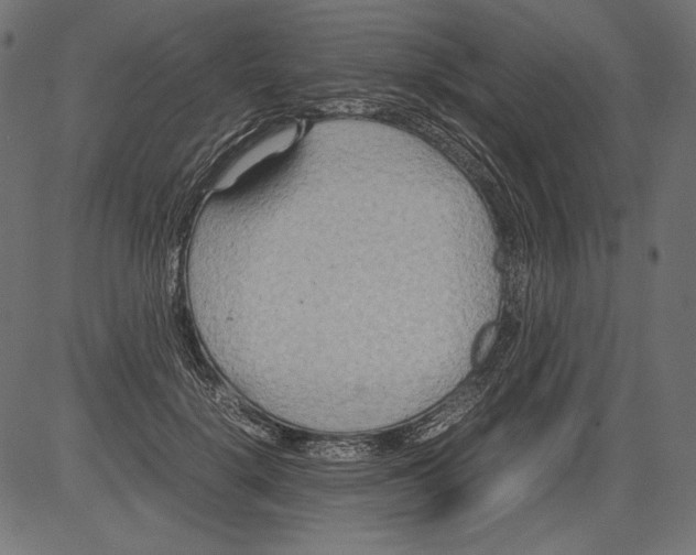 X0000081370652200702020206