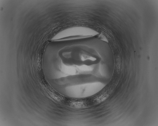 X0000081370653200702020206