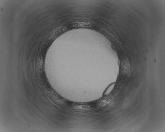 X0000081370657200702020206