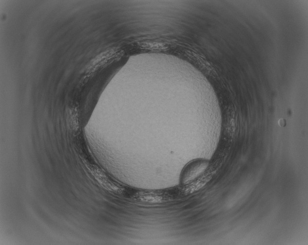 X0000081370658200702020206