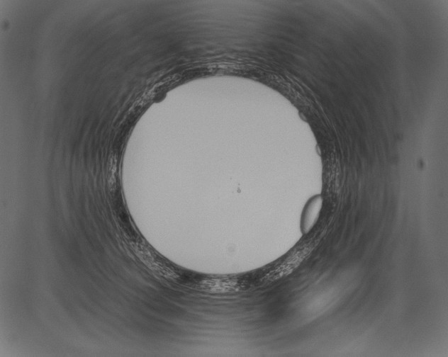 X0000081370660200702020206