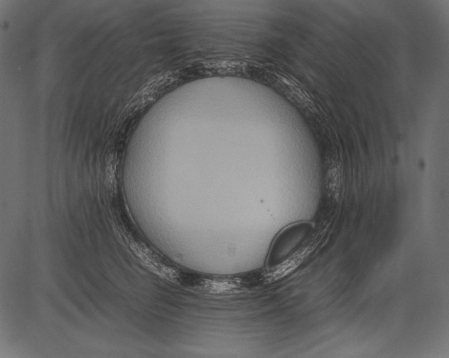 X0000081370662200702020206