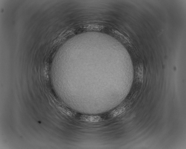 X0000081370663200702020206