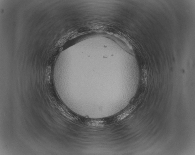 X0000081370664200702020206