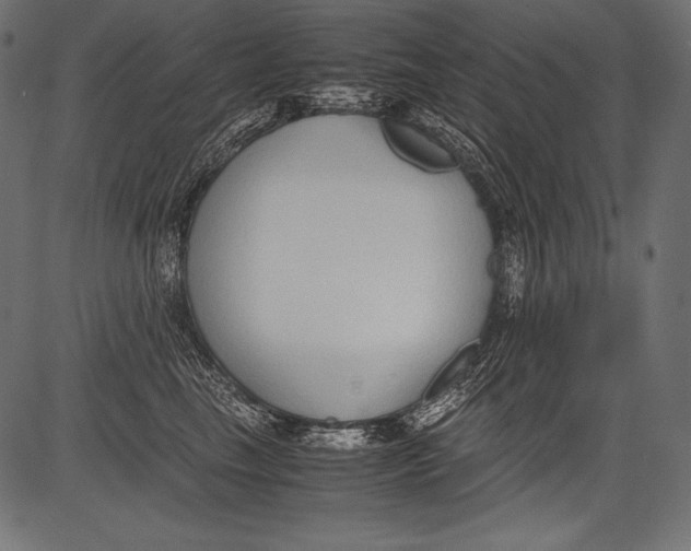 X0000081370665200702020206