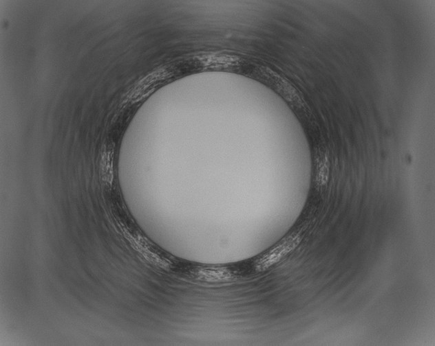 X0000081370666200702020206