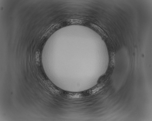 X0000081370667200702020206