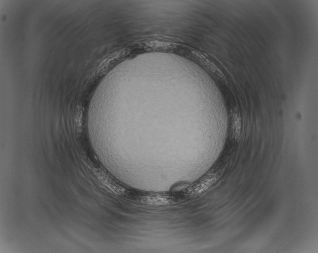 X0000081370668200702020206