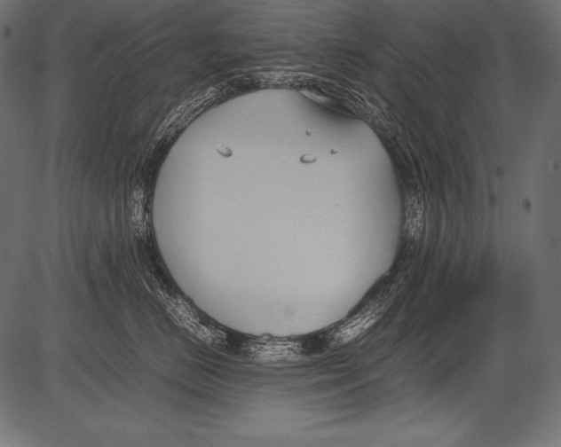 X0000081370670200702020206