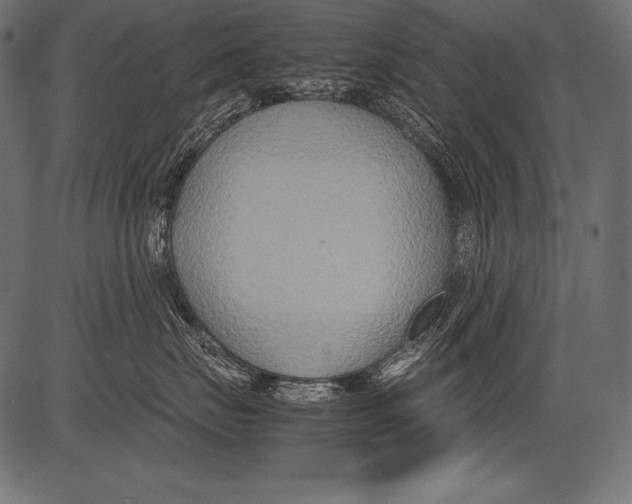 X0000081370671200702020207