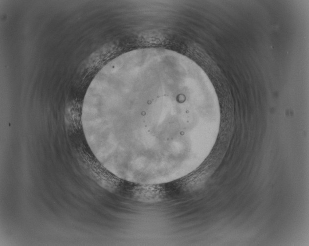 X0000081370672200702020207