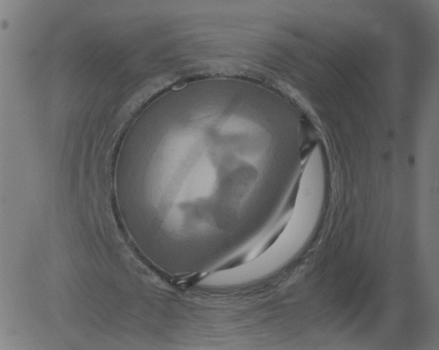 X0000081370673200702020206