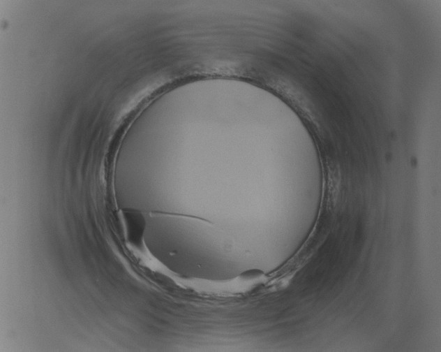 X0000081370674200702020206