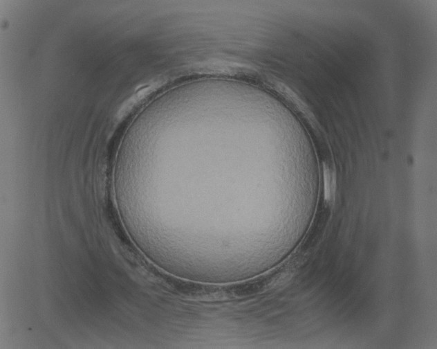 X0000081370675200702020206