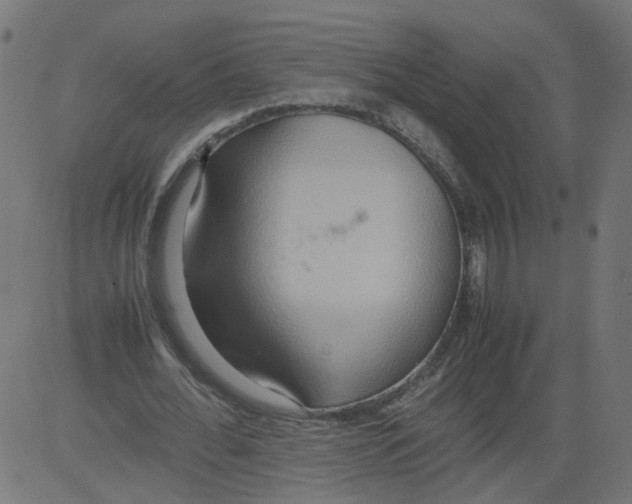 X0000081370676200702020206