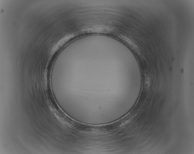 X0000081370678200702020206