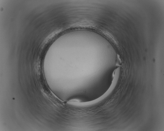 X0000081370680200702020206