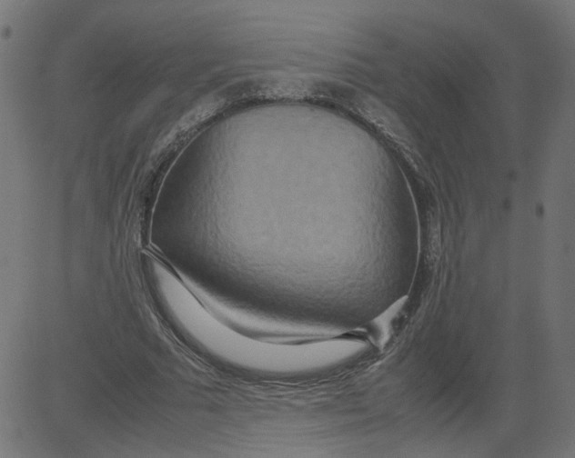 X0000081370681200702020206