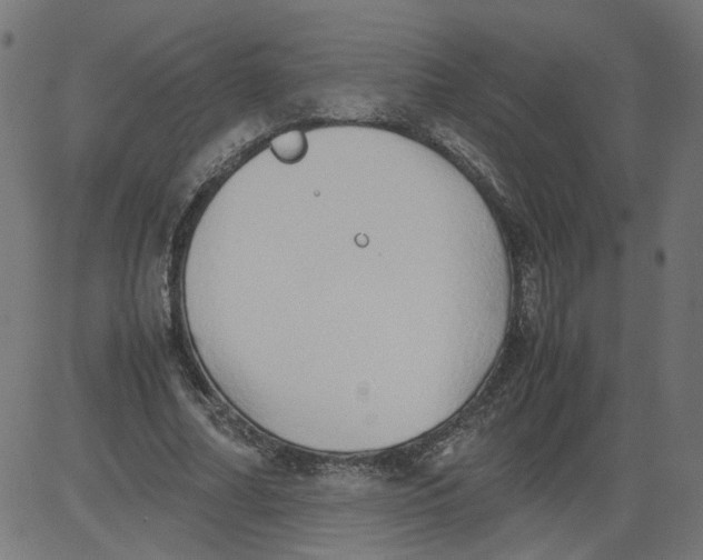 X0000081370682200702020206